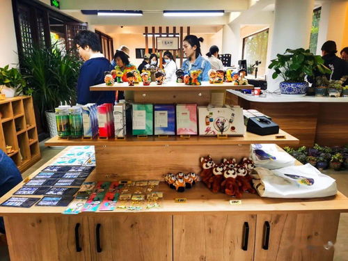 大理文旅融合新篇章 旅游集團(tuán)與高校攜手，民族文化創(chuàng)意中心試運(yùn)營啟航